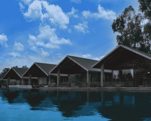 Pool view cottages in Dandeli
