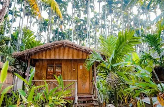 Wooden Cottage